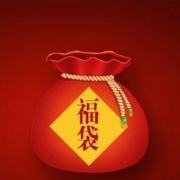 歌瑞尔 BWM16023 女士舒适内裤福袋 3条装