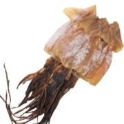 鱼臻多 国产北海深海 鱿鱼干 500g