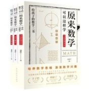 《原来数学可以这样学》 全3册