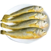 速鲜 东海冷冻活冻小黄花鱼1500g