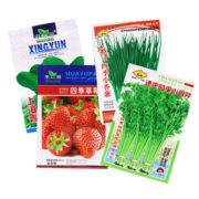 非转基因！花蜓 四季常见蔬菜种子 80多款种类