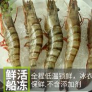 通过核酸检测！SuXian 速鲜 黑虎虾 净重350g*2盒
