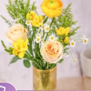 PLUS会员：花点时间 鲜花速递 等春来 升级款