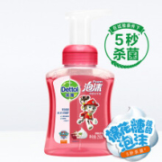 14点：滴露Dettol泡沫抑菌洗手液樱桃芬芳250mL 汪汪队版