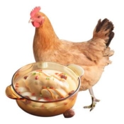 芮瑞生鲜 整鸡 净重700g*3件