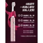 德国铂瑞 BR-Z2 全自动电动牙刷