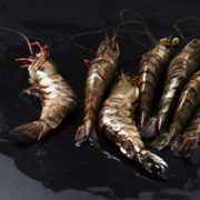 已通过核酸检测 WECOOK 味库 越南进口黑虎虾盒装 净重1110g