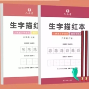 六品堂 硬笔练字帖 +4铅笔+1握笔器+得力橡皮*2