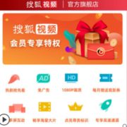 搜狐视频 vip会员年卡 12个月