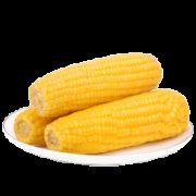 捧鲜姬  非转基因 东北甜糯玉米260g*3根