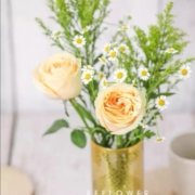 PLUS会员：花点时间 鲜花速递 等春来 普通款