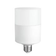 WENYU 温宇 led灯泡 e27 10W