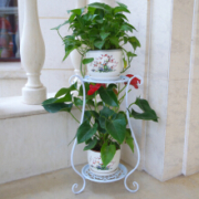 万麟家具  HJ-25花架  绿萝花架  60cm