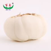 百玉 新鲜兰州百合500g 16个精品4头装