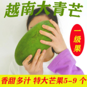 越南大青芒 一级大果 净重9斤