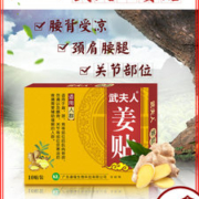 武夫人  颈肩腰腿艾灸热敷生姜贴  10贴