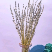 京东PLUS会员： REFLOWER 花点时间 定制花束 薰衣草1扎