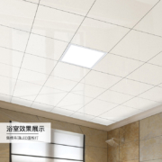 nvc-lighting 雷士照明 LED集成面板灯 16W