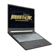 火影 巅峰玩家 T5G 15.6英寸游戏本（i5-10200H、8GB、512GB、RTX3060、72%NTSC）