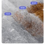 补券，自增压喷射蒸汽 高温除菌 无残留：德尔玛 蒸汽拖把