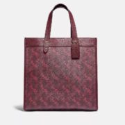 COACH Horse and Carriage 女士托特包