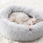 雪瓣 猫狗窝 S码 40cm