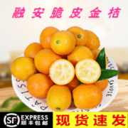 广西融安滑皮金桔 脆皮小金桔 5斤中果