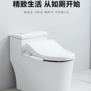 韩国爱智贞 K1901 智能马桶盖