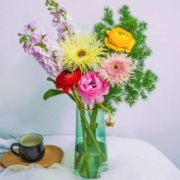 plus会员：远方的花 立春 鲜花速递