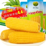 24日10点！ 海农壹品 黄糯玉米 10支 4.4元（前200件）