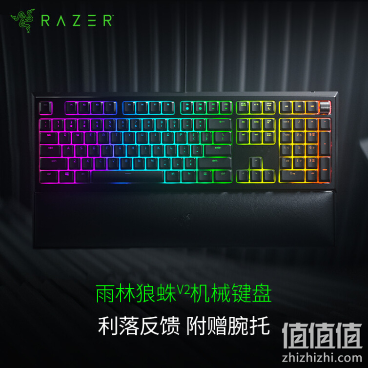 Razer  雷蛇 雨林狼蛛V2