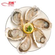 PLUS会员！ CHUXIAN 初鲜 冷冻半壳牡蛎 1000g