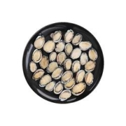 京东PLUS会员：蟹状元 冷冻大连鲍鱼 360g（40-50只）*3件