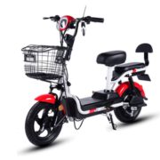 TAENT 踏浪 TDT125Z 48v12ah小型电动车