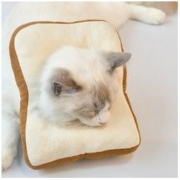 Carpum 卡盼 猫咪伊丽莎白圈