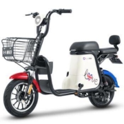 38节预告、5日0点： SUNRA 新日 48V12AH TDTZD-045 电动车