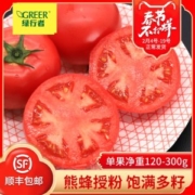 奥运会供应商 绿行者 桃太郎 沙瓤粉番茄 西红柿 5斤 无农药不催熟