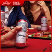 Budweiser 百威 经典醇正啤酒500mL*6听 新低19元（需领券）
