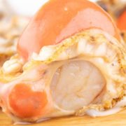 个头饱满！逸知鲜 大连扇贝丁 1斤装