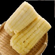 鲜甜+ 新鲜东北糯玉米棒 东北苞米2200g