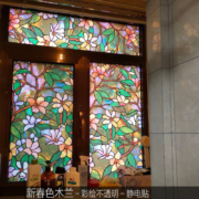 Hsxuan 鸿轩 彩绘不透明遮光玻璃贴纸 春色木兰款 100*30cm