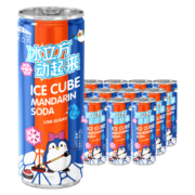 北冰洋 桔汁汽水 248ml*12听