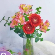 plus会员：远方的花 鲜花速递  春满园