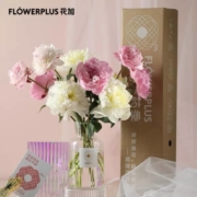plus会员、限地区：FlowerPlus 花加  四川芍药10枝