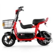 SUNRA 新日 TDT4530Z 电动车 配儿童椅
