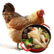 平遥  三黄鸡 生鲜  约650g/只 3只装
