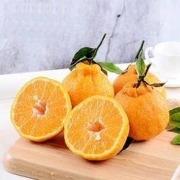 康乐欣 丑橘不知火 2.5kg装（果径70mm起）