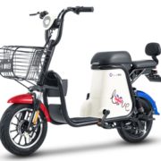 SUNRA 新日 48V12AH TDTZD-045 电动车
