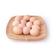 堆草堆 天然谷物饲养土鸡蛋 16枚 560g-672g