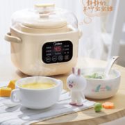热水快炖！Midea 美的 DG30E201 电炖盅 79元包邮（双重优惠）